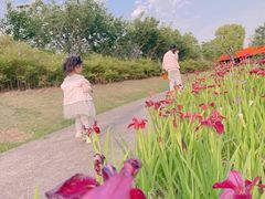 -皇粮浜湿地公园