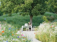 -花开海上生态园