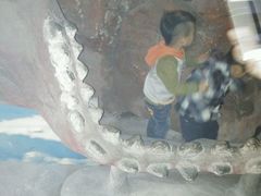 -洛阳龙门海洋馆