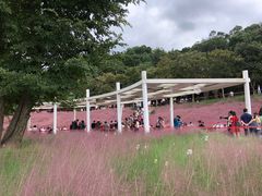 -牛岗山公园