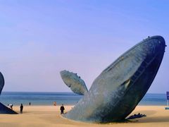 -烟台金沙滩海滨公园