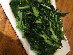 素炒板蓝根-老滇山寨•云南特色菜•地方菜•民族风情歌舞表演(金碧店)