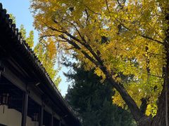 -苏州文庙(姑苏区)