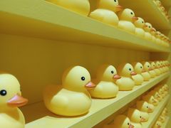 -福州奇幻解压馆(东泰禾旗舰店)