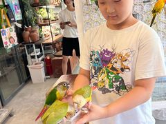 -吉丁鸟咖·异宠·寄养