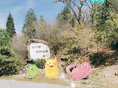 -白水寺森林公园