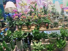 -扶光书店(中环店)