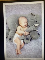 -星豆豆儿童摄影(南郊太白南路店)