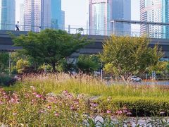 -大食代美食广场(上海中心店)