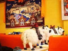 -如意林卡藏餐吧 (九寨沟店)