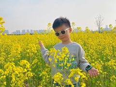 -汉长安城未央宫国家考古遗址公园