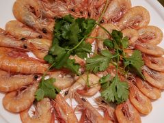 -御同亨酒楼·喜宴