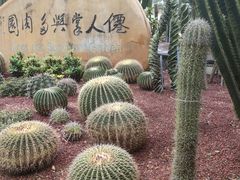 -深圳仙湖植物园