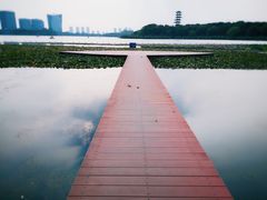 -暨阳湖生态园