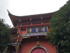 -铁山坪森林公园