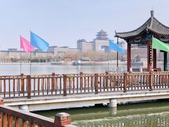 -莲花池公园