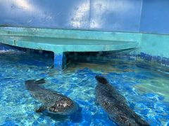 -太平洋海底世界