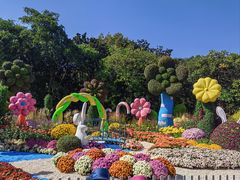 -上海共青森林公园