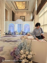 -武汉汉口喜来登大酒店·宴会厅