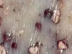 -高桥小香松糕