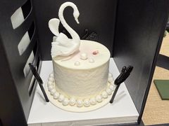 -BLACKSWAN黑天鹅(环球店)