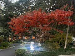 -浙江西子宾馆·瑶园咖啡厅