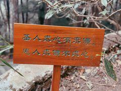 -寂照庵