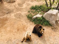 -石家庄市动物园