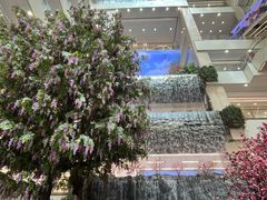 -赛格国际购物中心(小寨店)