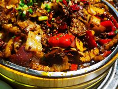 -老号尤兔头(玉堂店)