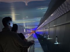 -白鹤梁水下博物馆