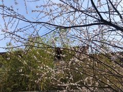 -西安市广仁寺