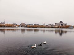 -莲花池公园