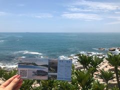 -广东惠东海龟国家级自然保护区