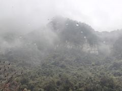 -娄山关景区