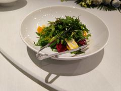 清拌野苦菜-九十九顶毡房(阜石路店)