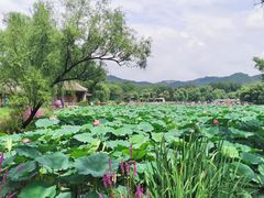 -承德避暑山庄景区