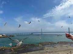 -星海广场