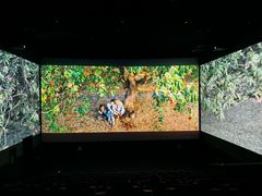 -CGV影城(黄河道ScreenX店)