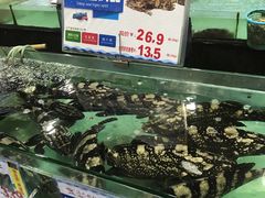 水产区-渔民新村(番禺总店)