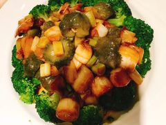 -船歌·鱼水饺青岛菜(闽江二路店)