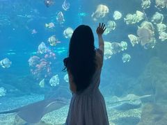 -福州罗源湾海洋世界旅游区