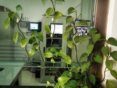 -林栖谷森林康养度假区