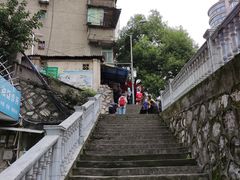 -半月镰胡姐脆皮萝卜饺子