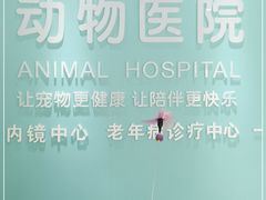 -美迦爱-牙专科·兔科·骨科诊疗中心(北苑店)