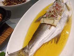 清蒸白水鱼-嘉逸传菜(洛川东路店)