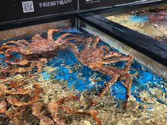 -盒马鲜生(曜一城店)