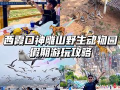 -西霞口神雕山野生动物世界