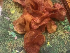松露红心薯片-饵块食光·云南有机手作饵块