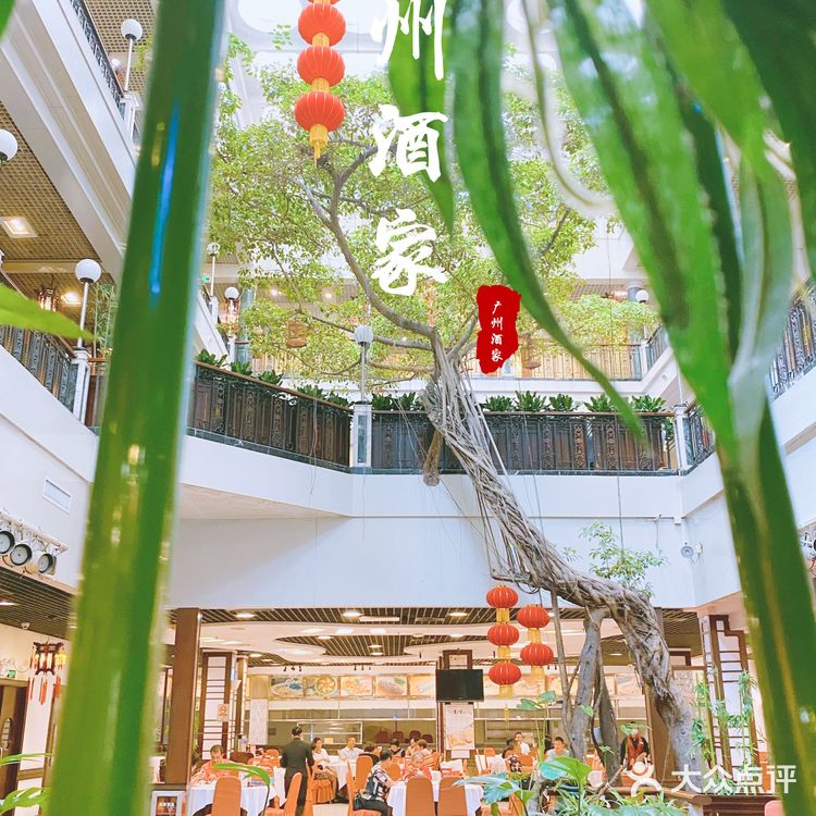 广州酒家~老字号喝茶聊天好去处